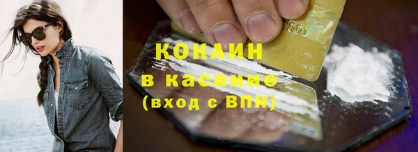 шишки Корсаков
