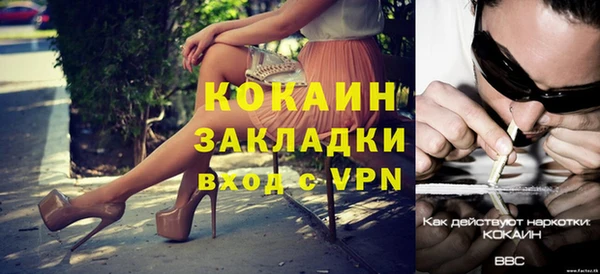 шишки Корсаков
