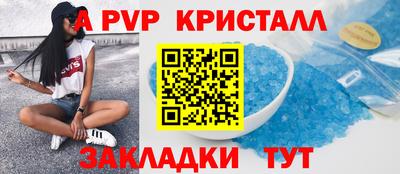a pvp Кингисепп