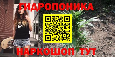 амф Кинель