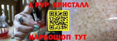 a pvp Кингисепп