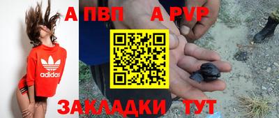 a pvp Кимры