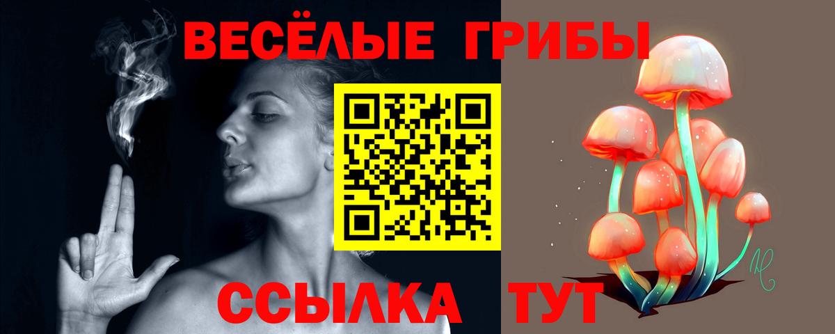 Котлас  Галлюциногенные грибы ЛСД  Галлюциногенные грибы прущие грибы  Вход с VPN 