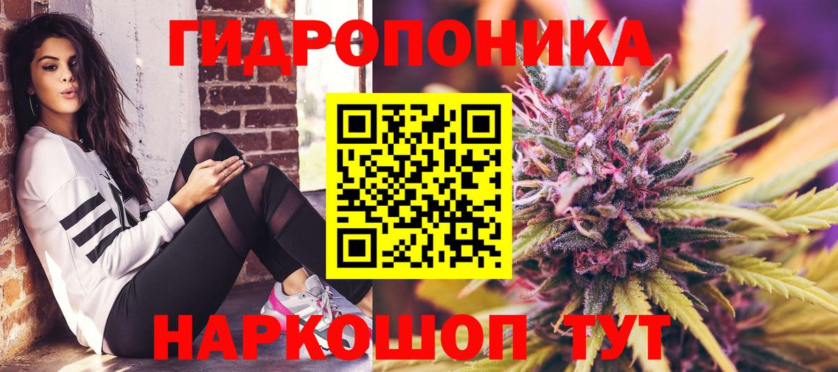 МАРИХУАНА AK-47  Вход с VPN  МАРИХУАНА Bruce Banner  Конопля конопля  Котлас 